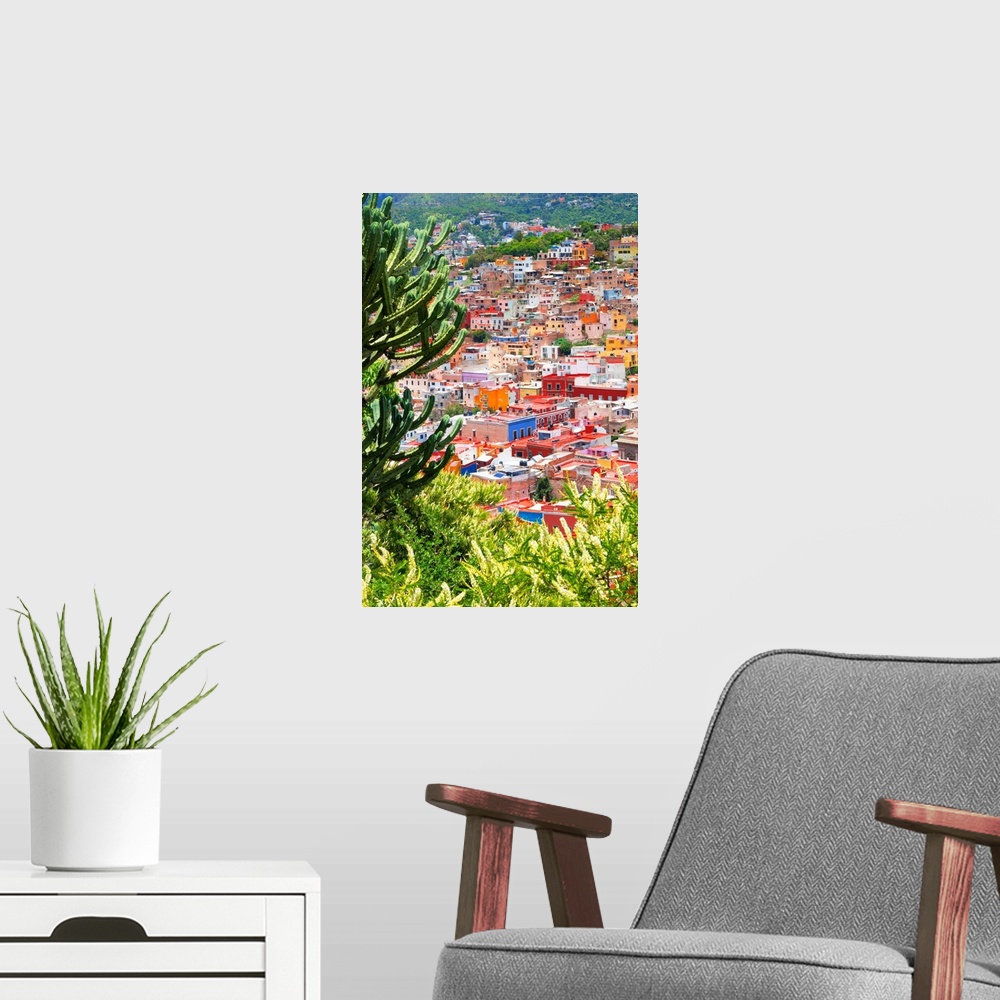 A modern room featuring Cityscape photograph of Guanajuato, Mexico, framed with green plants and cacti. From the Viva Mex...