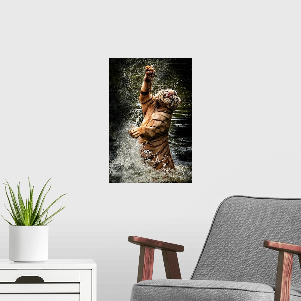 A modern room featuring Photograph of a tiger leaping from shallow water and splashing it up all around.