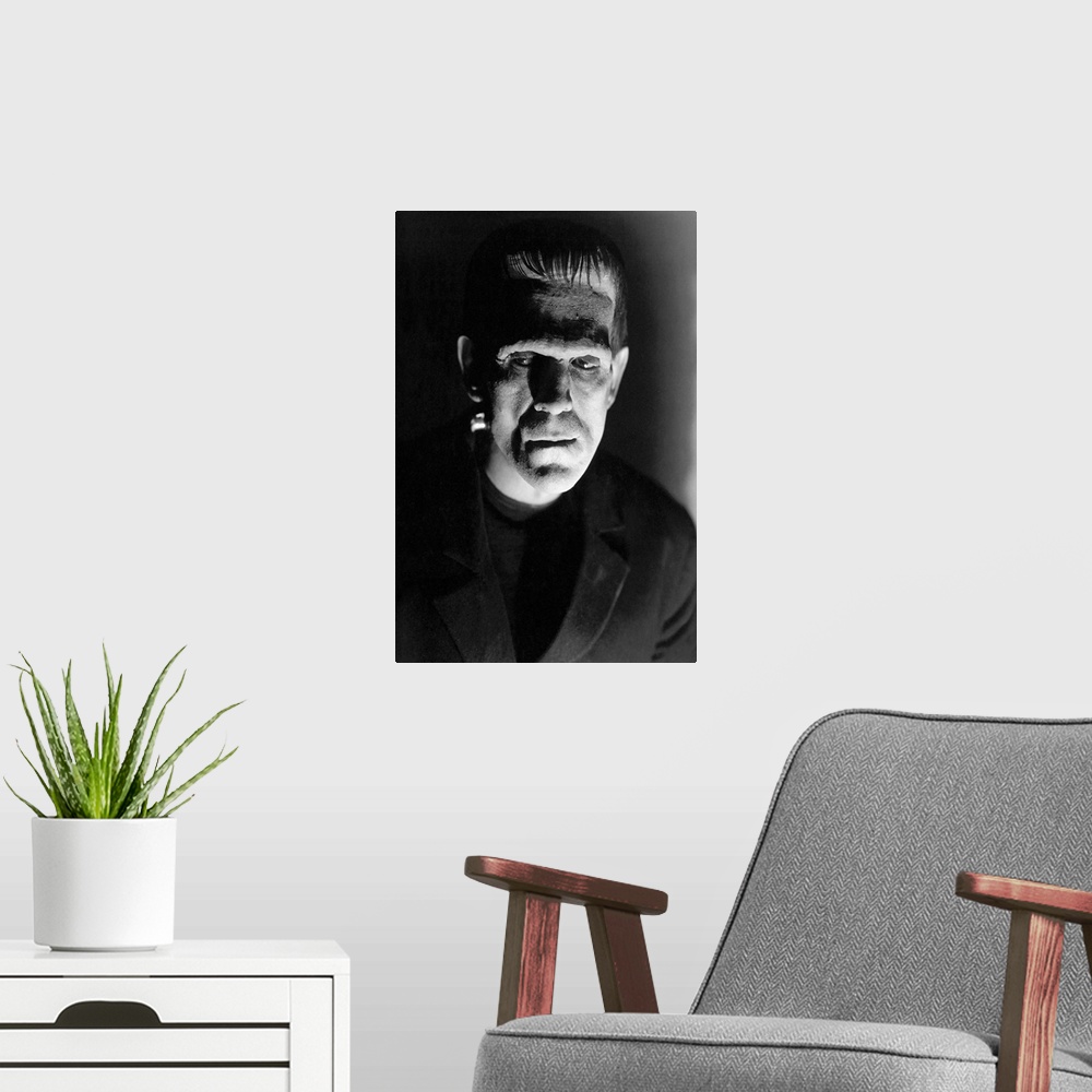 A modern room featuring Boris Karloff B&W Bride of Frankenstein 2