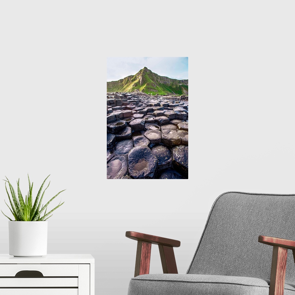 A modern room featuring Landscape photograph of the basalt columns on Giant's Causeway with rocky hills and in the backgr...