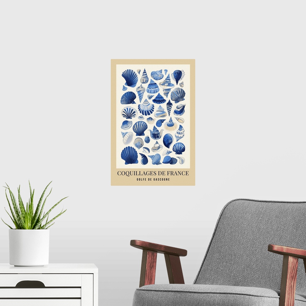 A modern room featuring Exhibition Poster - French Sea Shells Light