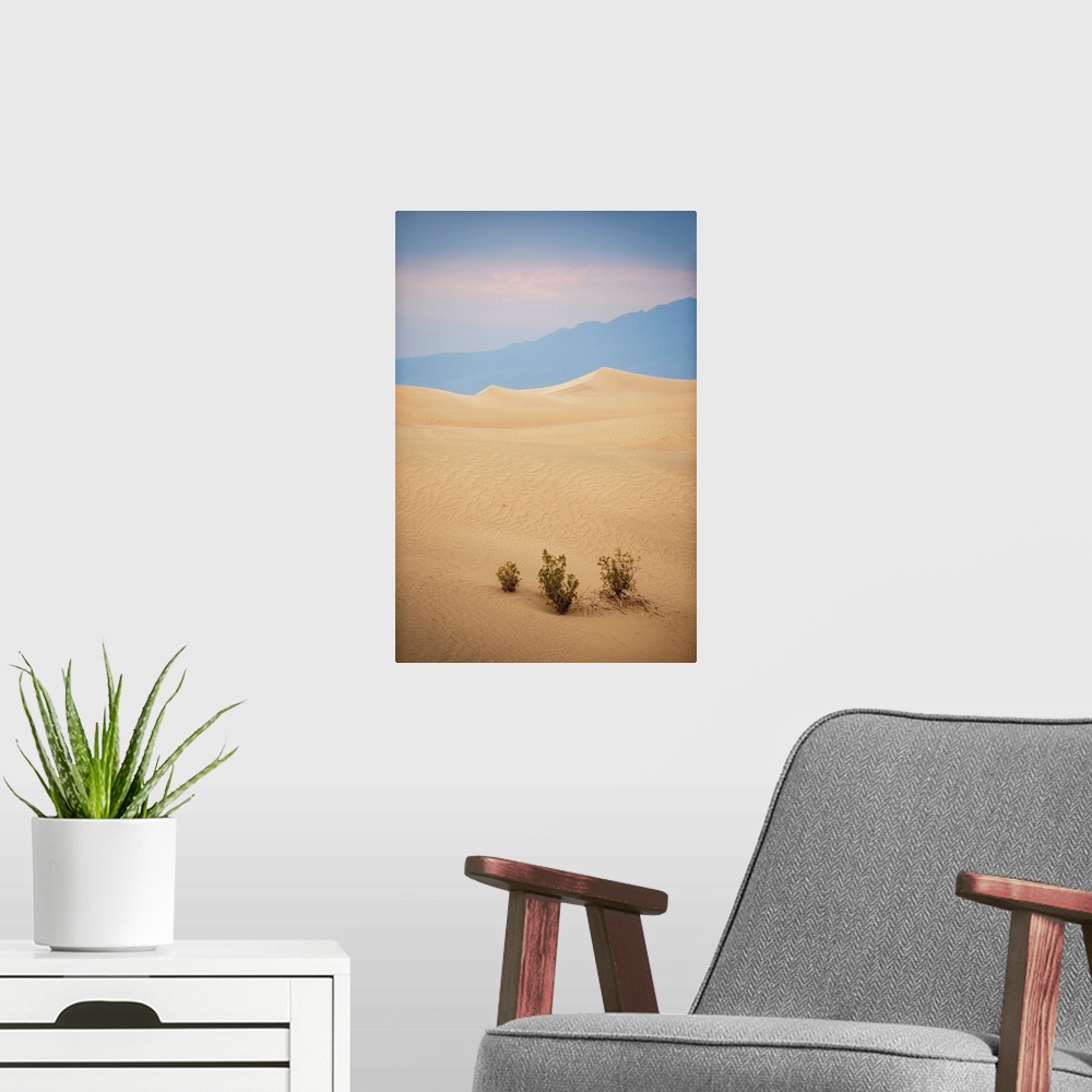 A modern room featuring View of crescent dunes in Mesquite Flat Sand Dunes of Death Valley, California.