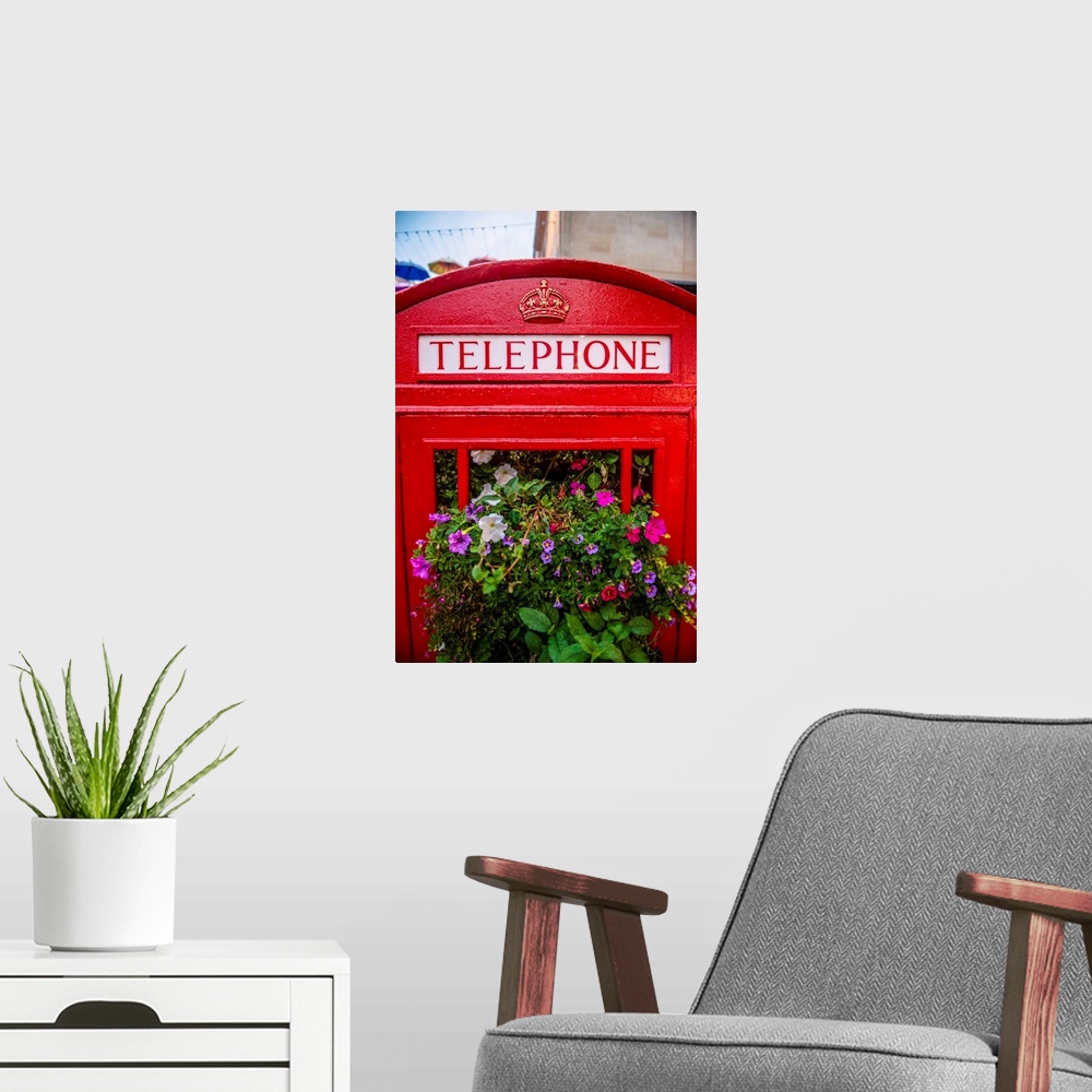 A modern room featuring A traditional British red telephone booth filled with plants in the city of Bath.