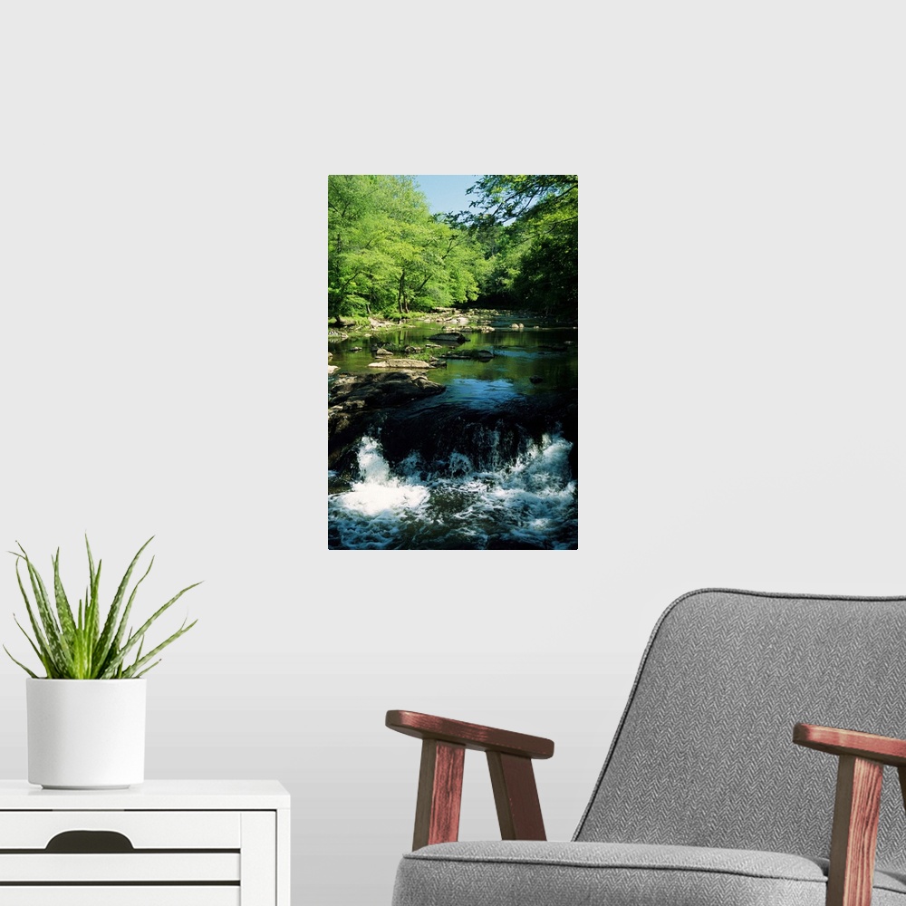 A modern room featuring Waterfalls on the Eno River passing through a hardwood forest.