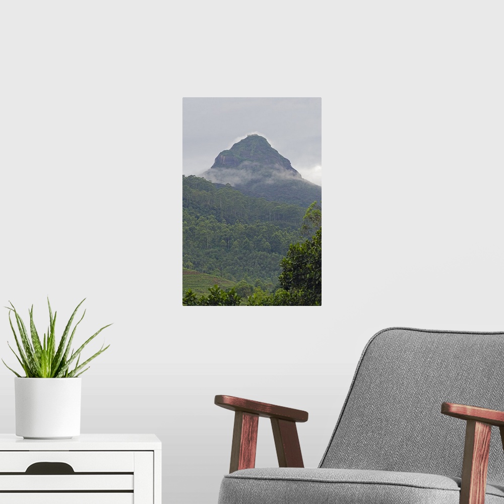 A modern room featuring Adams Peak, Sri Lanka, Asia
