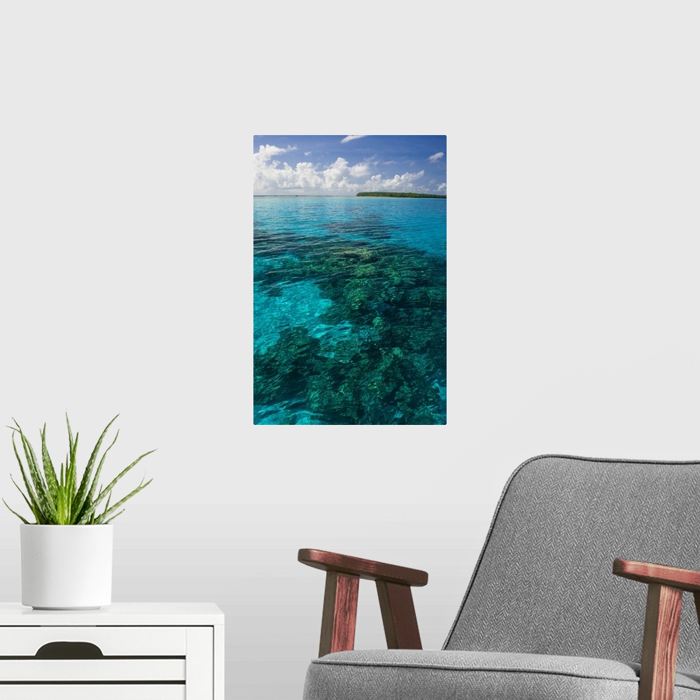 A modern room featuring Beautiful turquoise water in the Ant Atoll, Pohnpei, Micronesia, Pacific