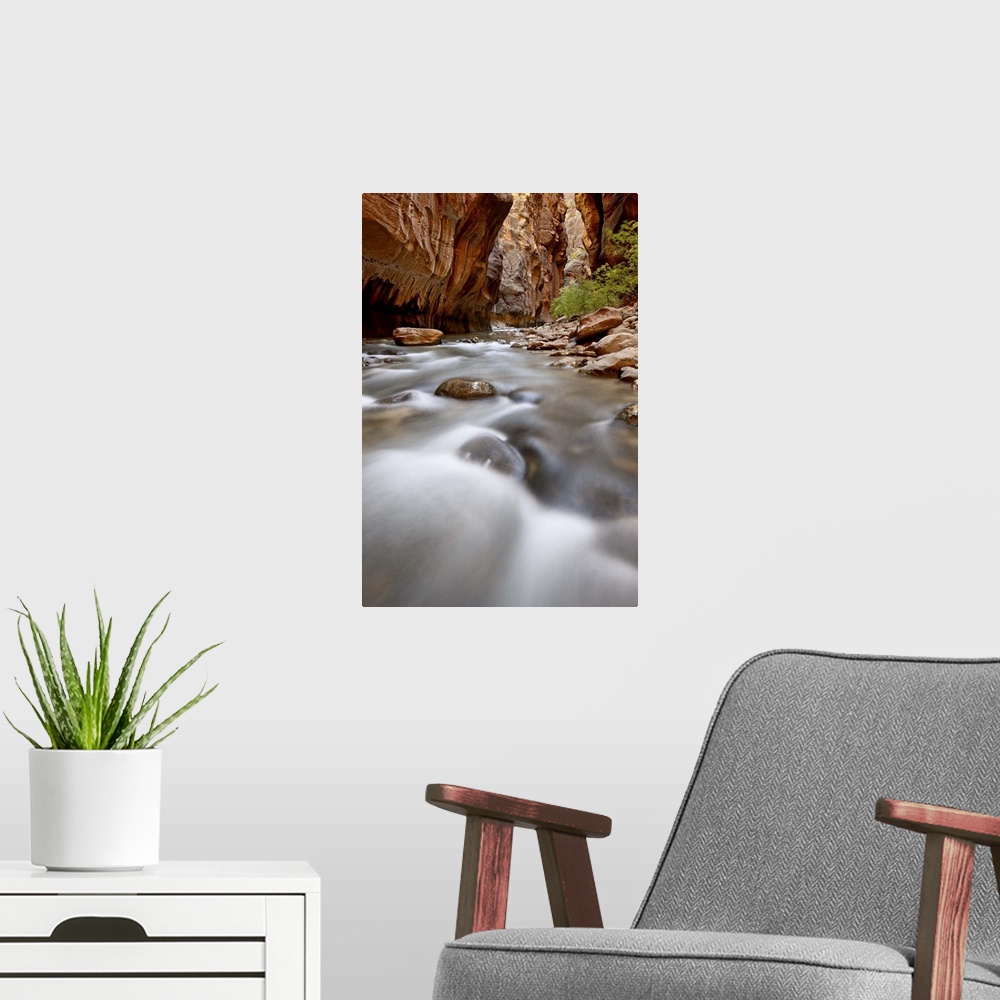 A modern room featuring Cascade in The Narrows of the Virgin River, Zion National Park, Utah