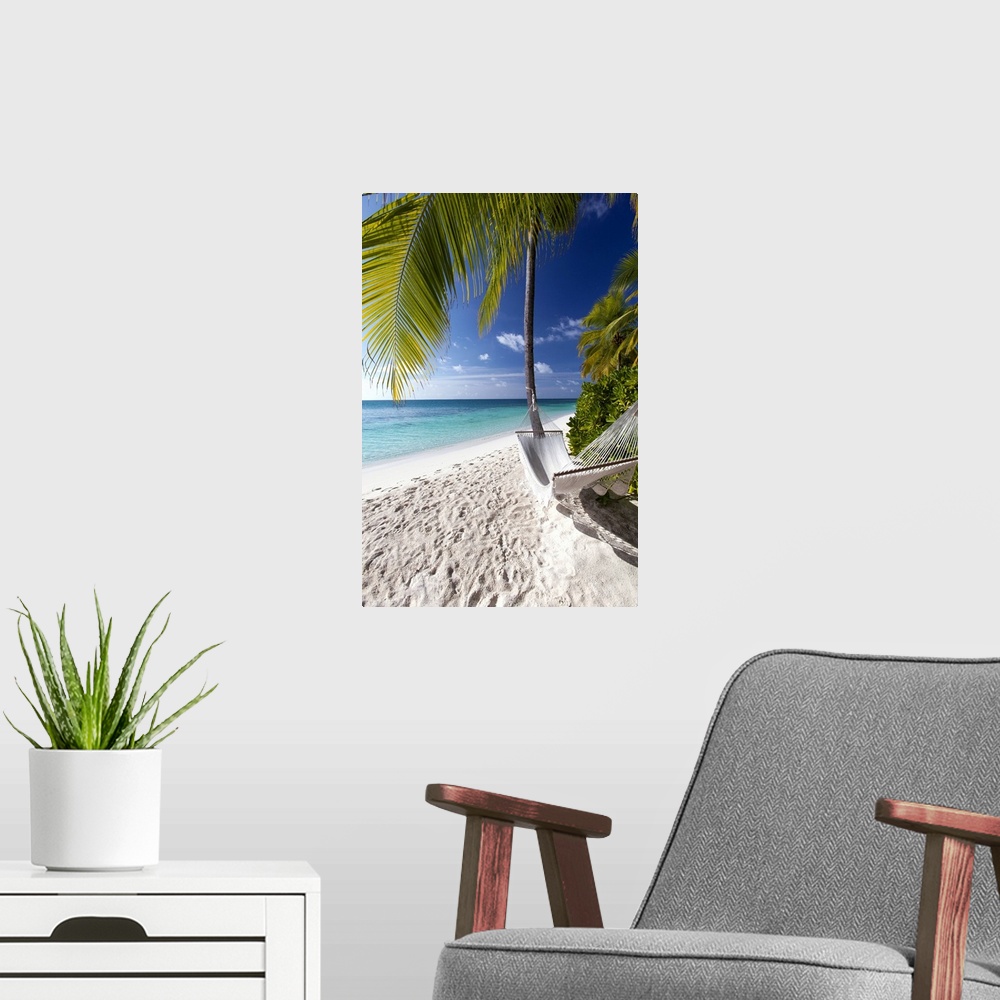 A modern room featuring Hammock on tropical beach, Maldives, Indian Ocean, Asia