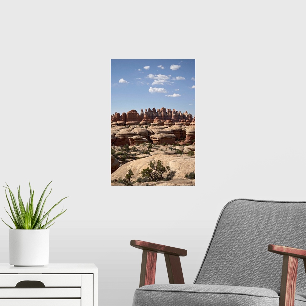A modern room featuring Needles near Elephant Hill, Canyonlands National Park, Utah