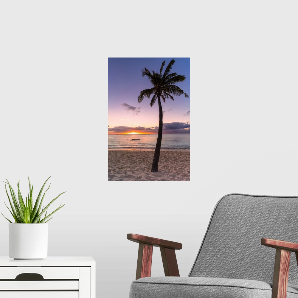 A modern room featuring Palm tree on tropical beach during sunset, Le Morne Brabant, Black River district, Mauritius, Ind...