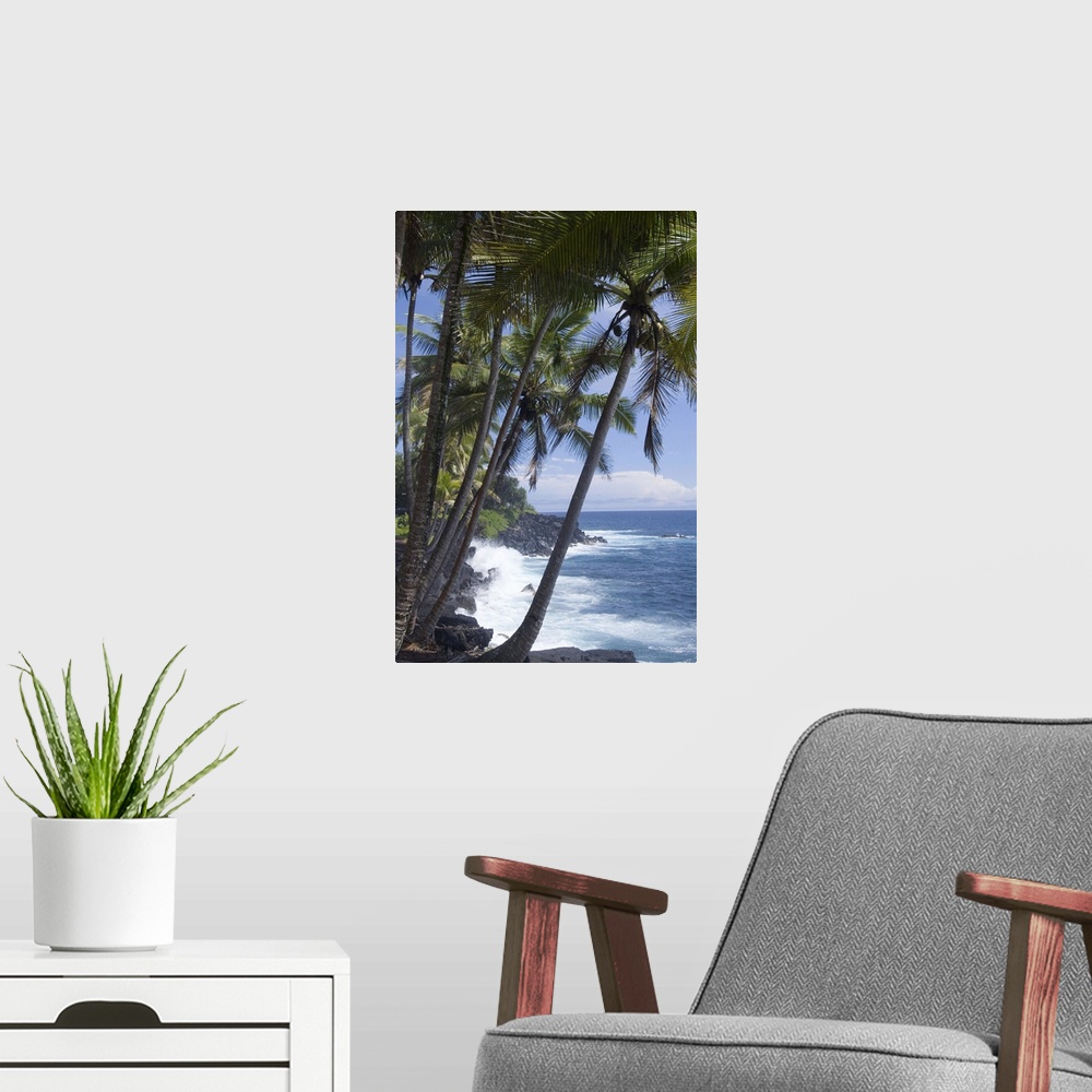 A modern room featuring Puna (Black Sand) Beach, Island of Hawaii (Big Island), Hawaii, USA