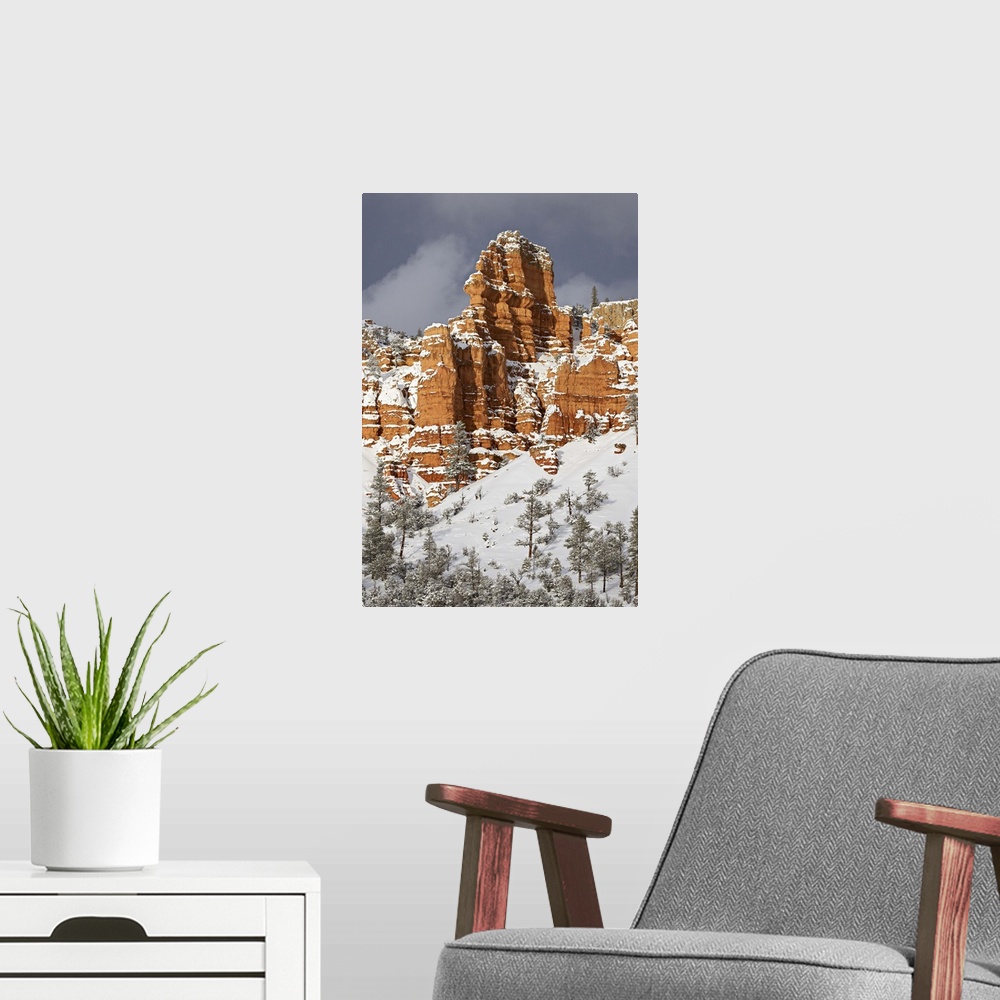 A modern room featuring Red rock formations, Red Canyon, Dixie National Forest, Utah