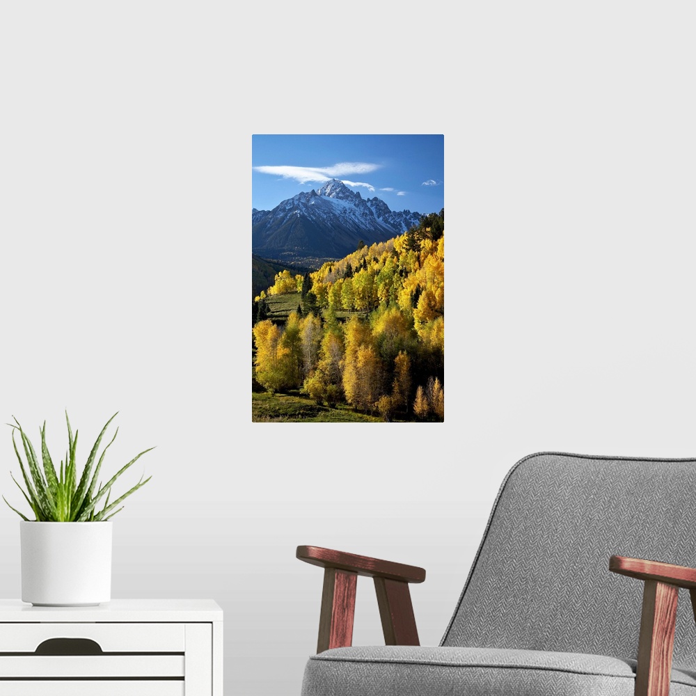 A modern room featuring Sneffels Range with fall colors, Uncompahgre National Forest, Colorado