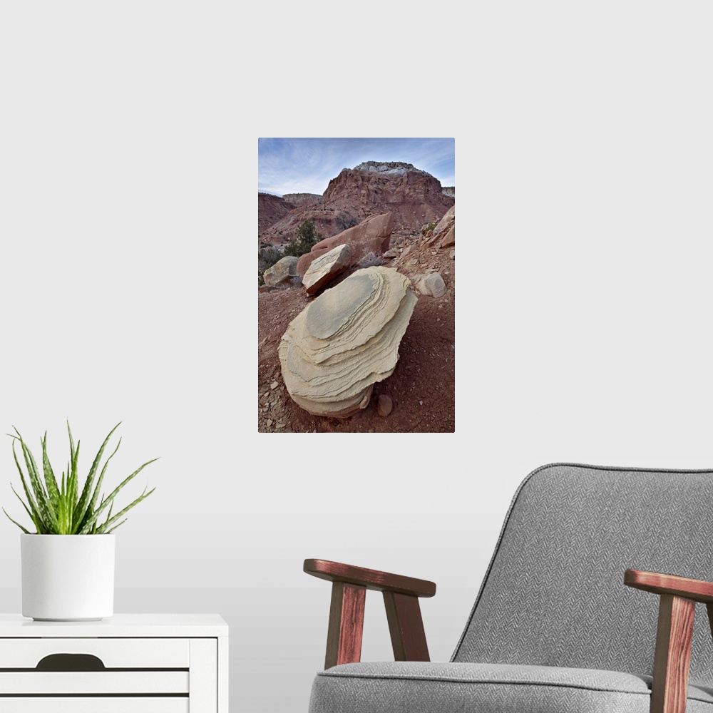 A modern room featuring Tan sandstone boulder among red rocks, Carson National Forest, New Mexico