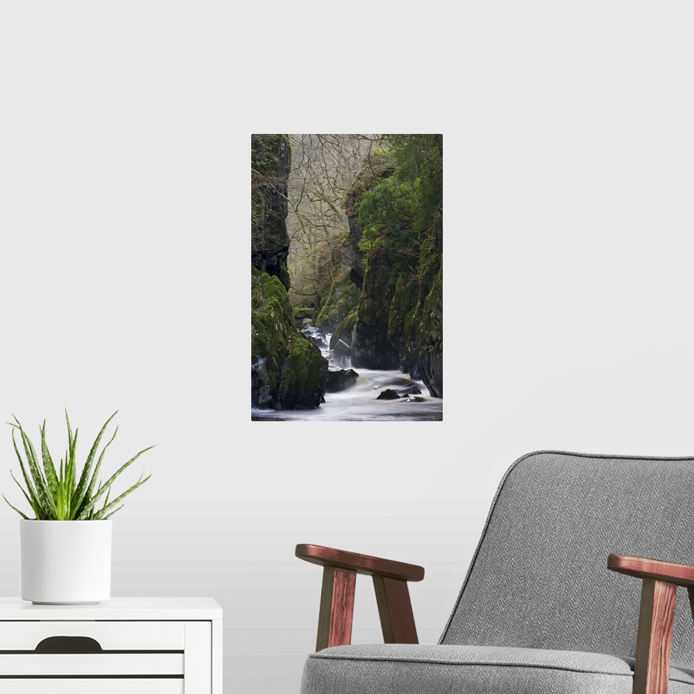 A modern room featuring The Fairy Glen near Betws-y-Coed, Snowdonia National Park, Wales