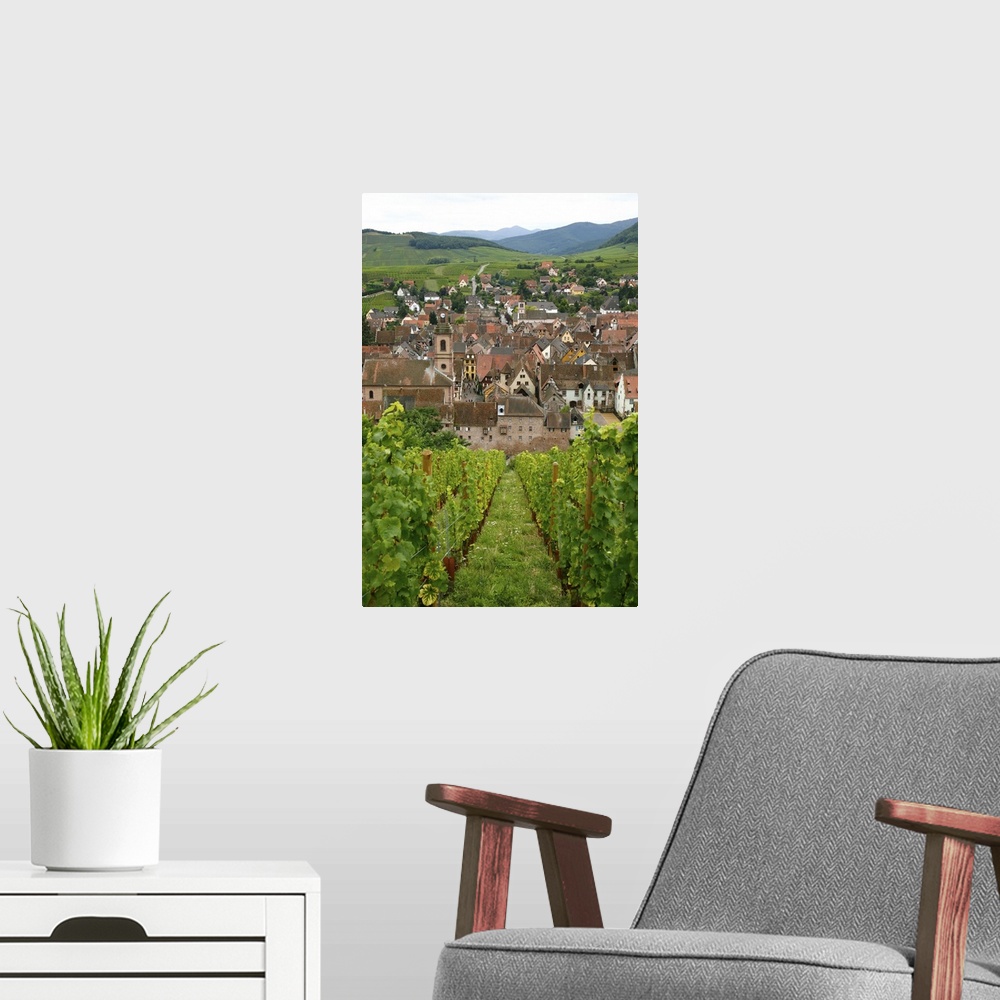 A modern room featuring View over the village of Riquewihr and vineyards in the Wine Route area, Alsace, France