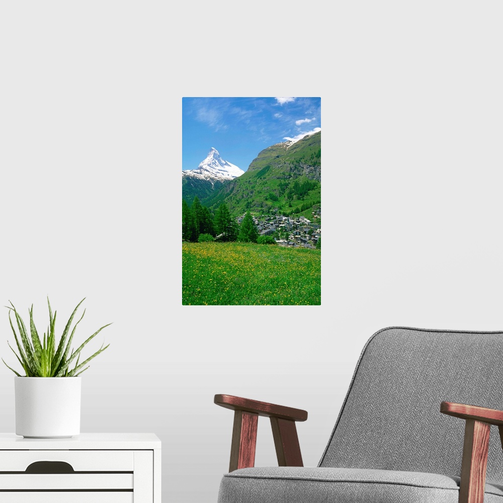 A modern room featuring Wild flowers in a meadow with the town of Zermatt and the Matterhorn behind, Switzerland
