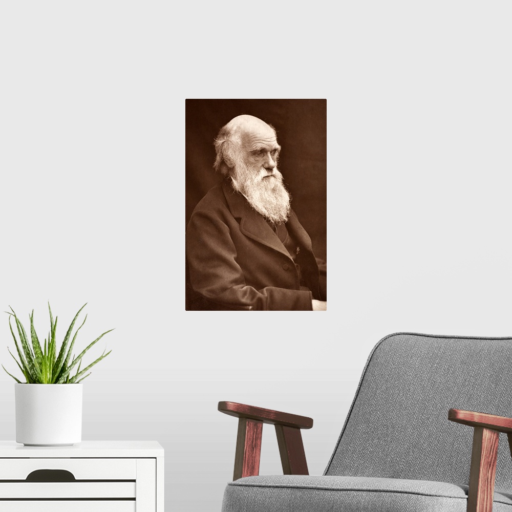 A modern room featuring Photograph of Charles Darwin taken by his son Leonard around 1874 when Darwin was in his mid sixt...