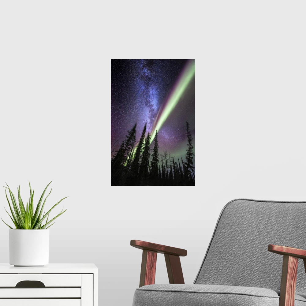 A modern room featuring A composite image with the milky way and the Aurora Borealis over spruce trees in Alaska. The Aur...