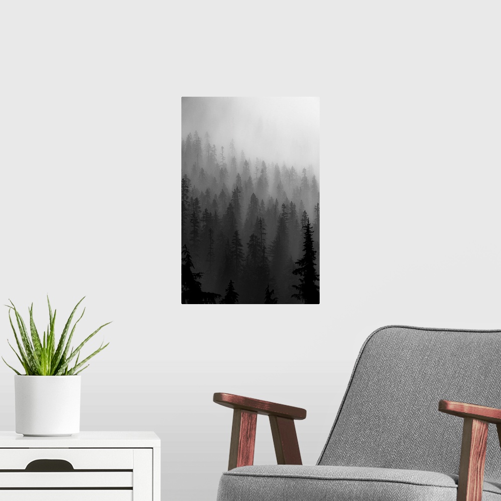 A modern room featuring Mountain Mist