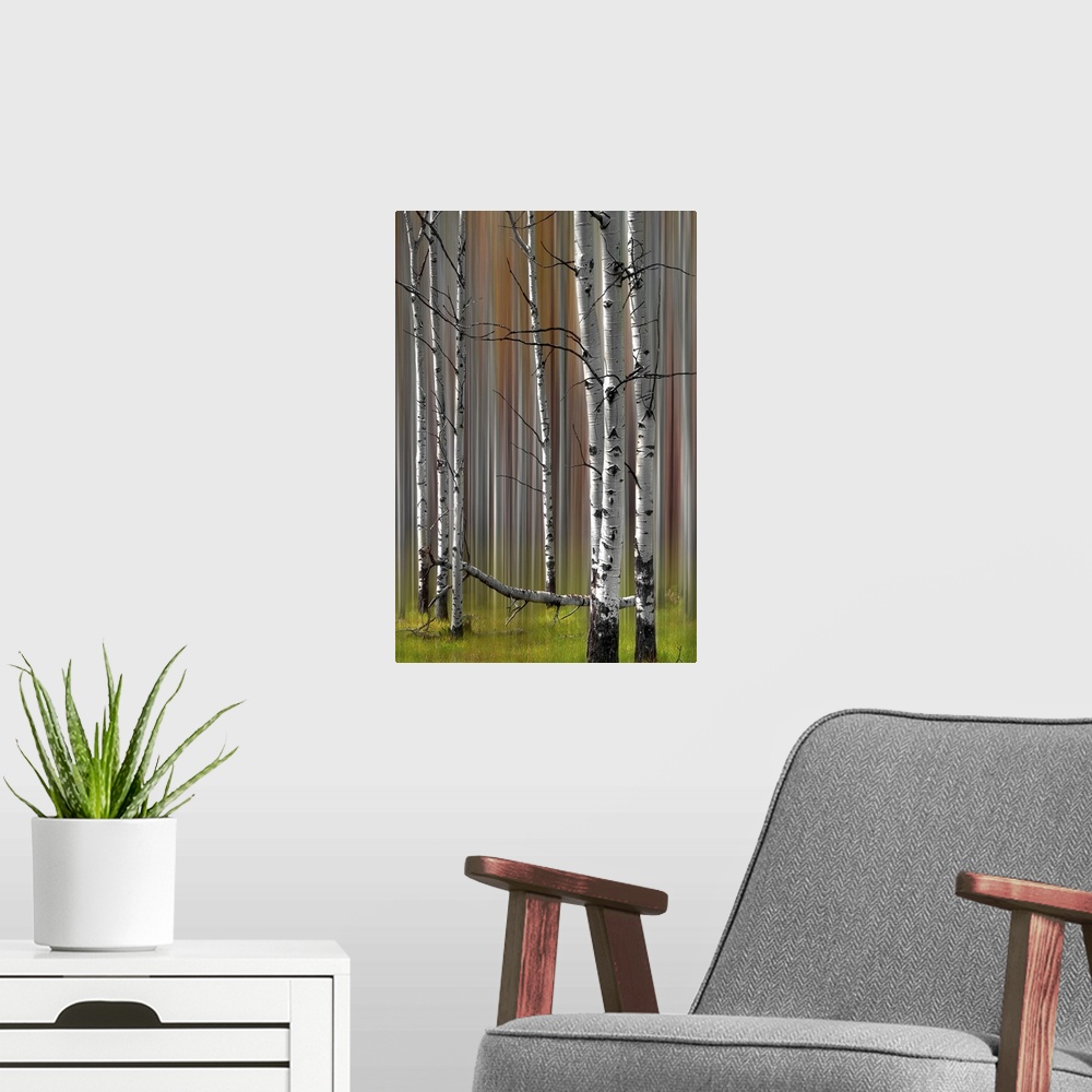 A modern room featuring A two image compilation of a stand of fall colored poplar trees creating the sense of motion in a...