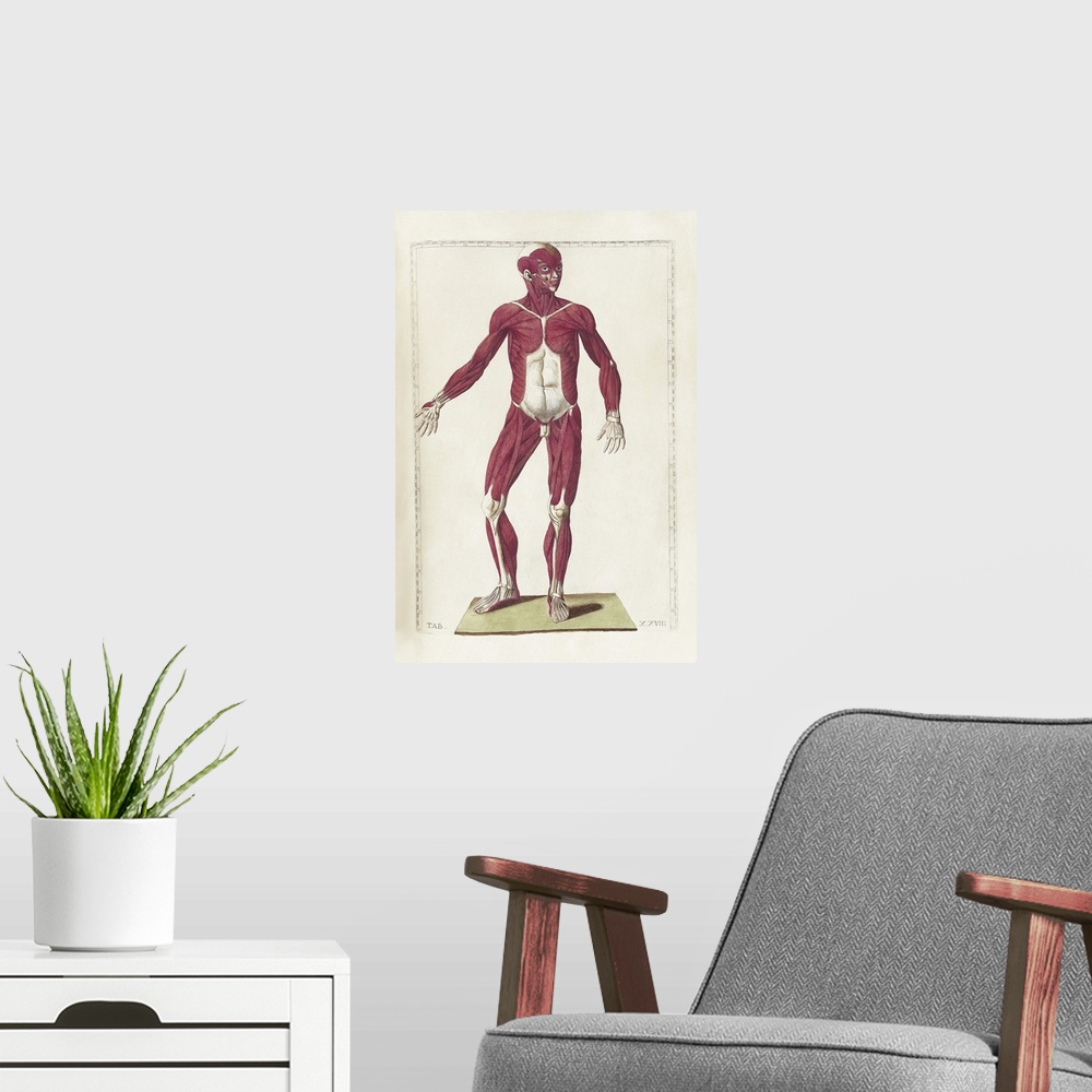 A modern room featuring The science of human anatomy by Bartholomeo Eustachi.