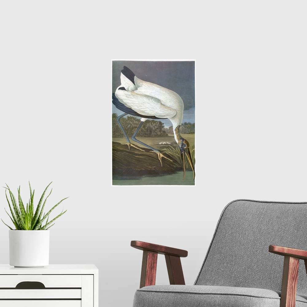A modern room featuring Wood stork (Mycteria americana). Engraving after John James Audubon for his 'Birds of America,' 1...