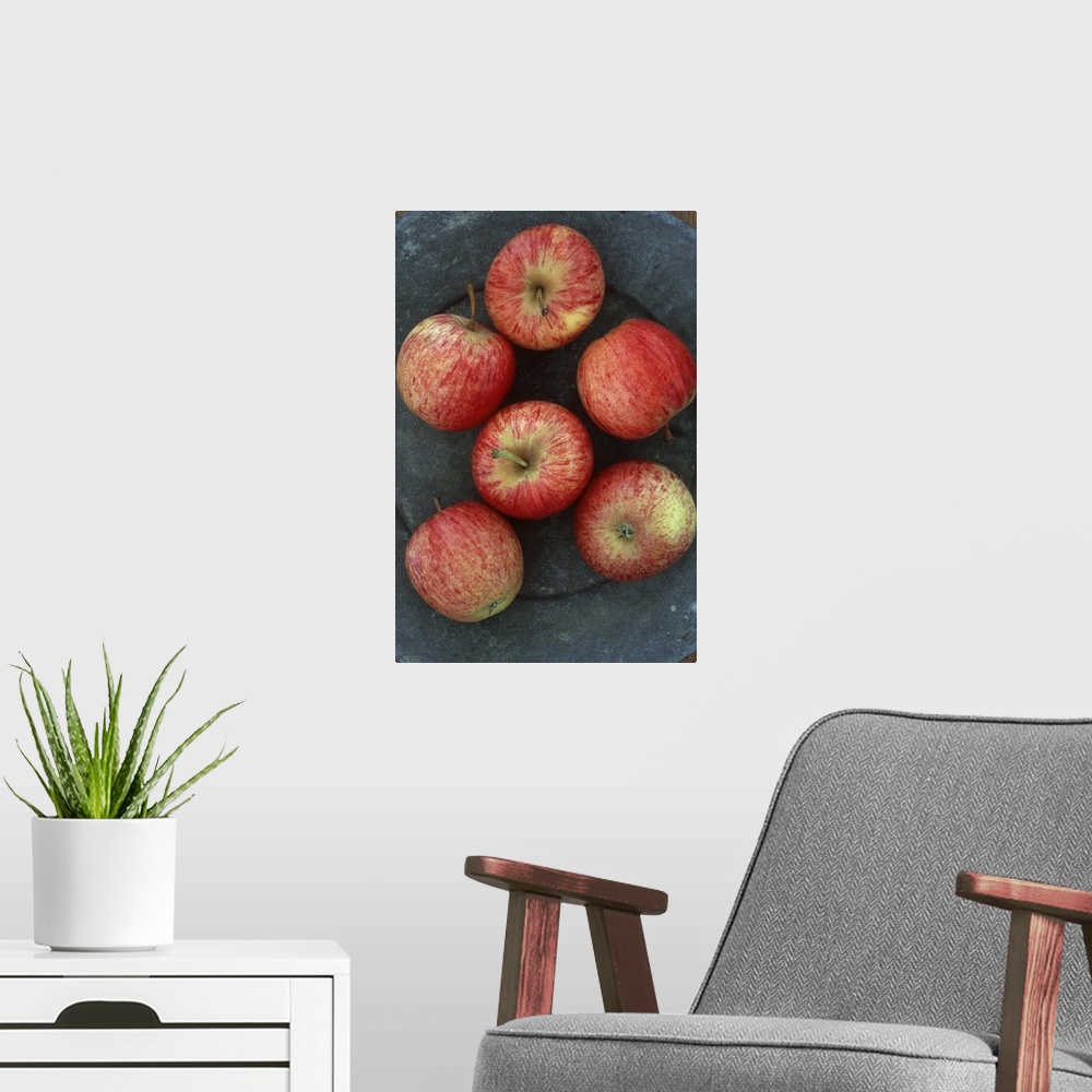 A modern room featuring Six red and yellow striped Gala apples on tarnished metal plate