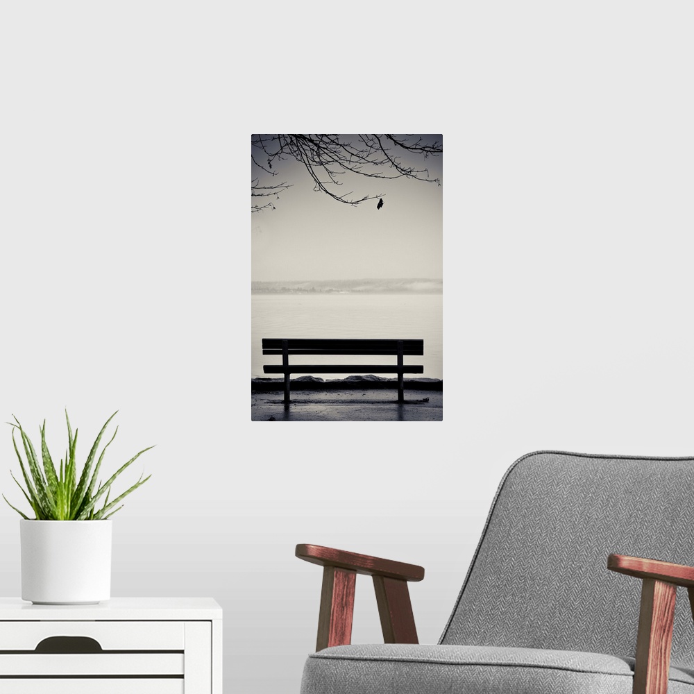 A modern room featuring An emply bench along an ocean walk with one leaf on tree branches hanging down.