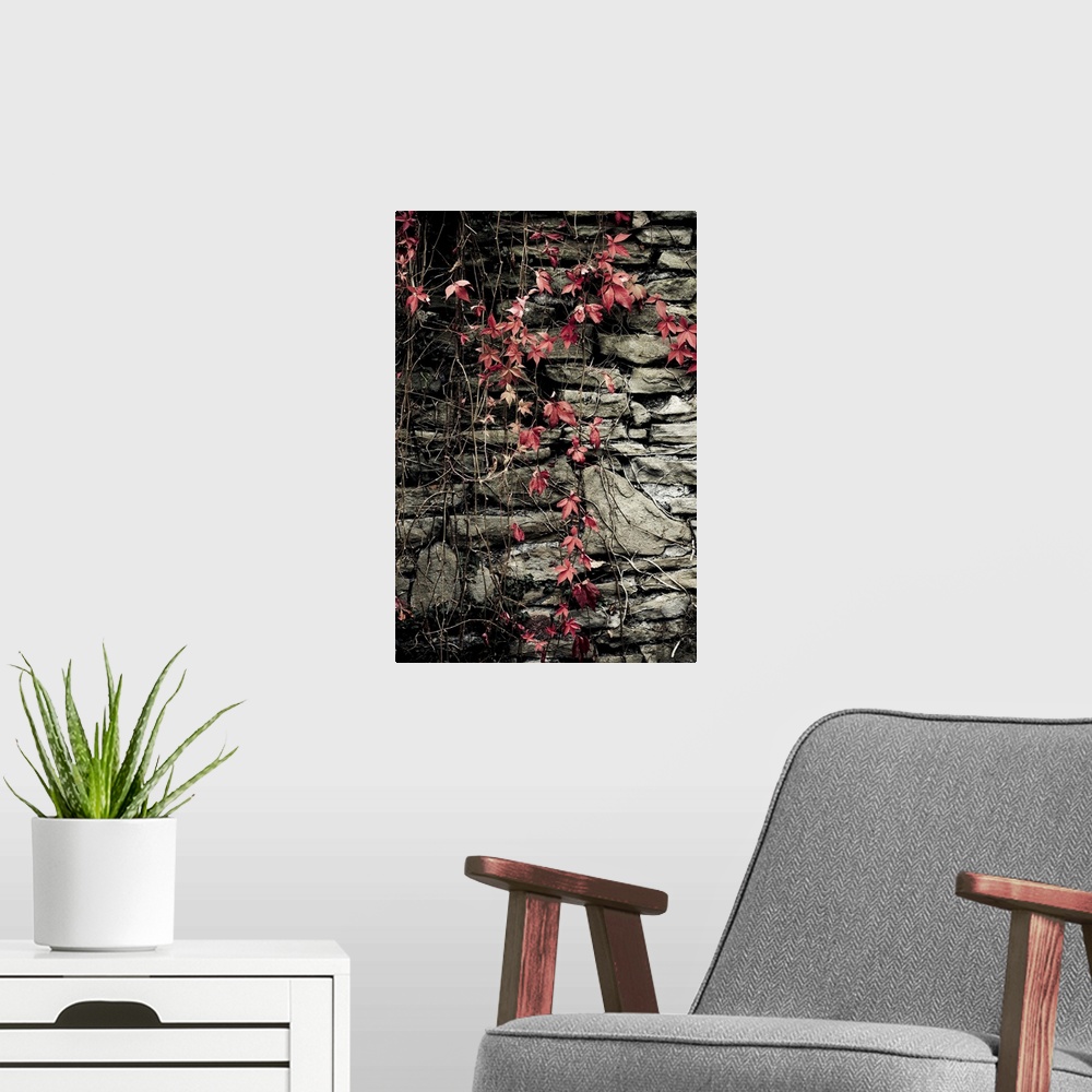 A modern room featuring Red flowers on stone wall