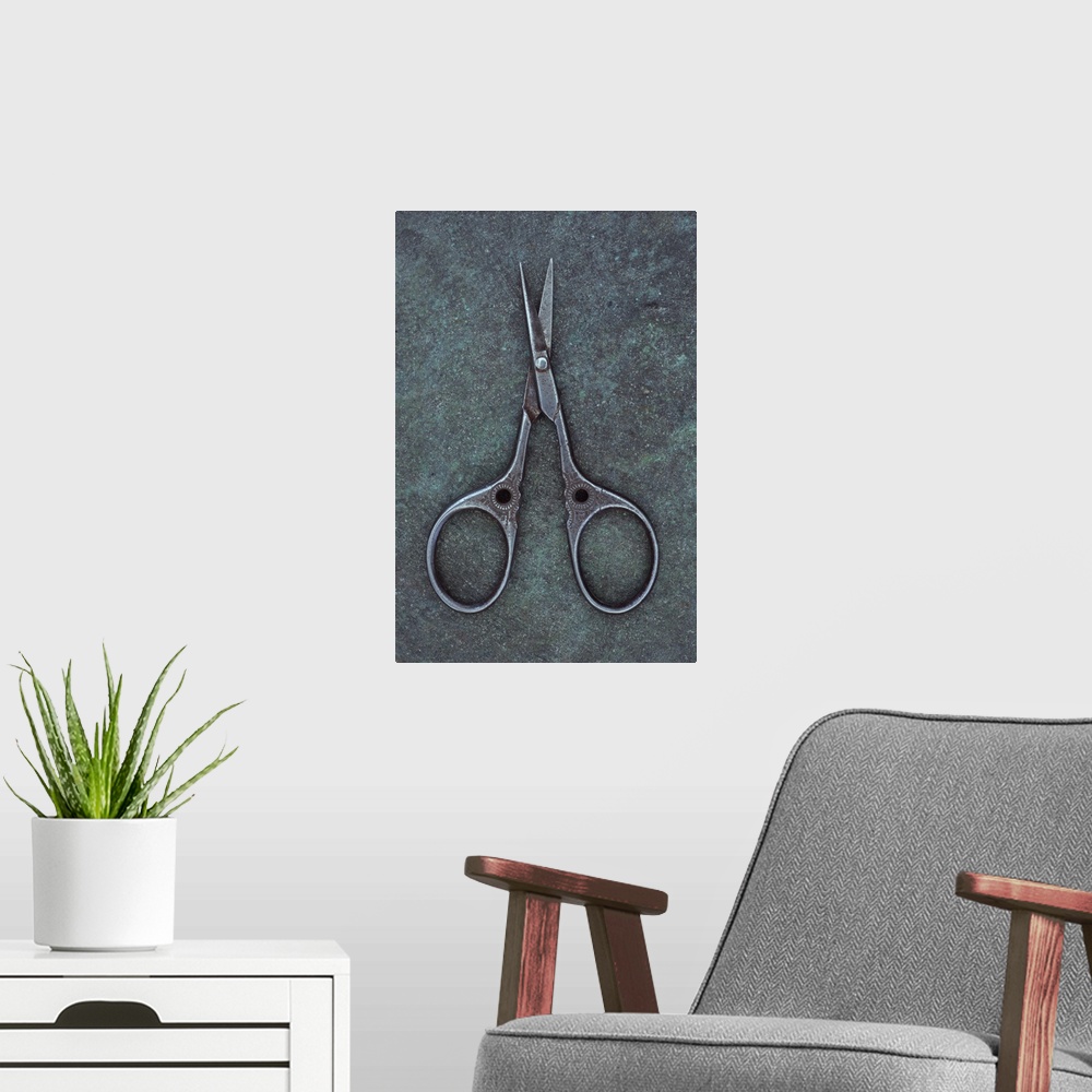 A modern room featuring Antique steel sewing scissors decorated with small pattern lying on tarnished metal