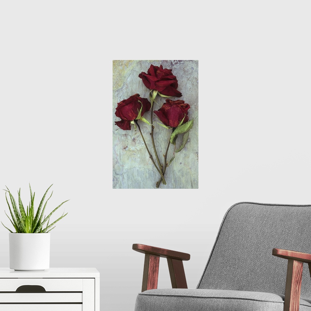 A modern room featuring Three dried deep red roses lying with their stems and leaves on marbled slate stone
