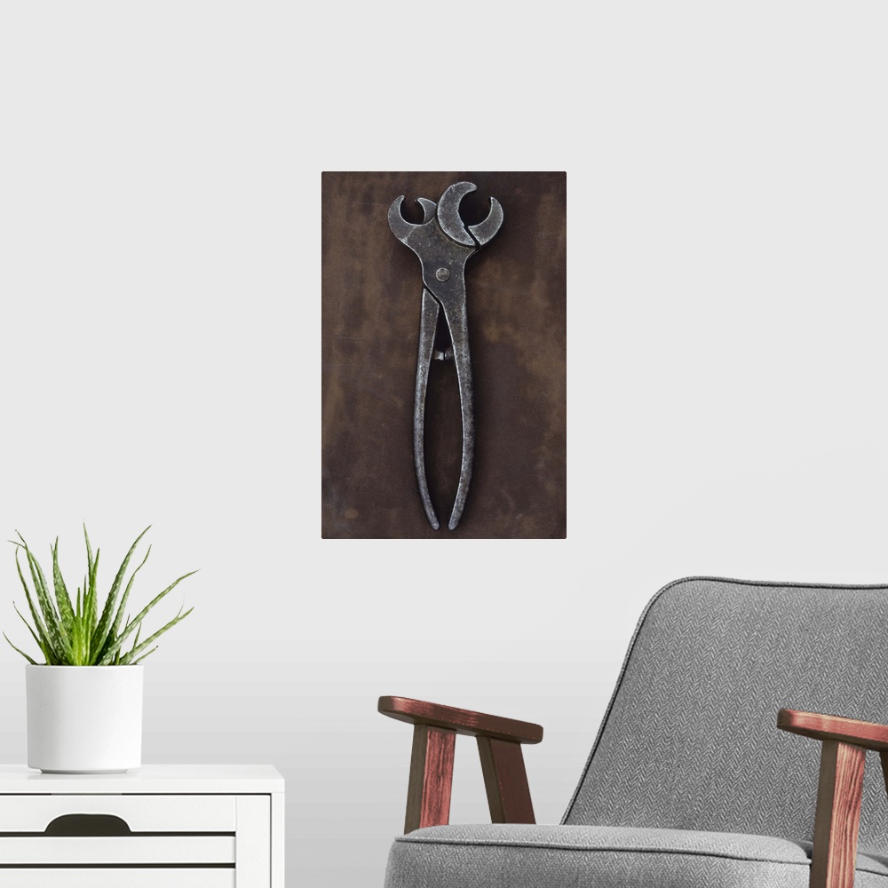 A modern room featuring Vintage metal tool with twin heads used for applying tethering rings to noses of bulls or pigs ly...