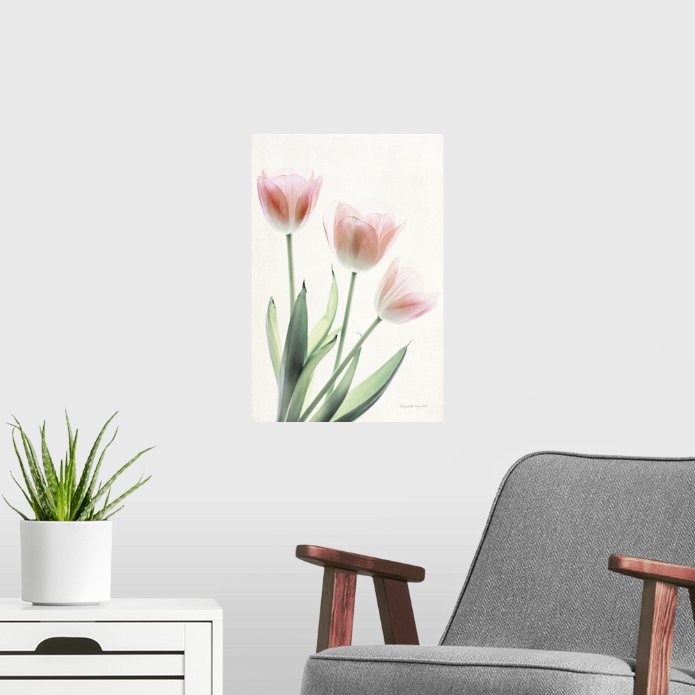 A modern room featuring Photograph of pink tulips in muted tones that fade into the white background.