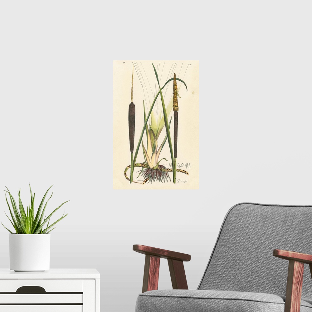 A modern room featuring Antique Cattail I