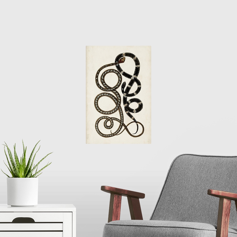 A modern room featuring Antique Snakes II