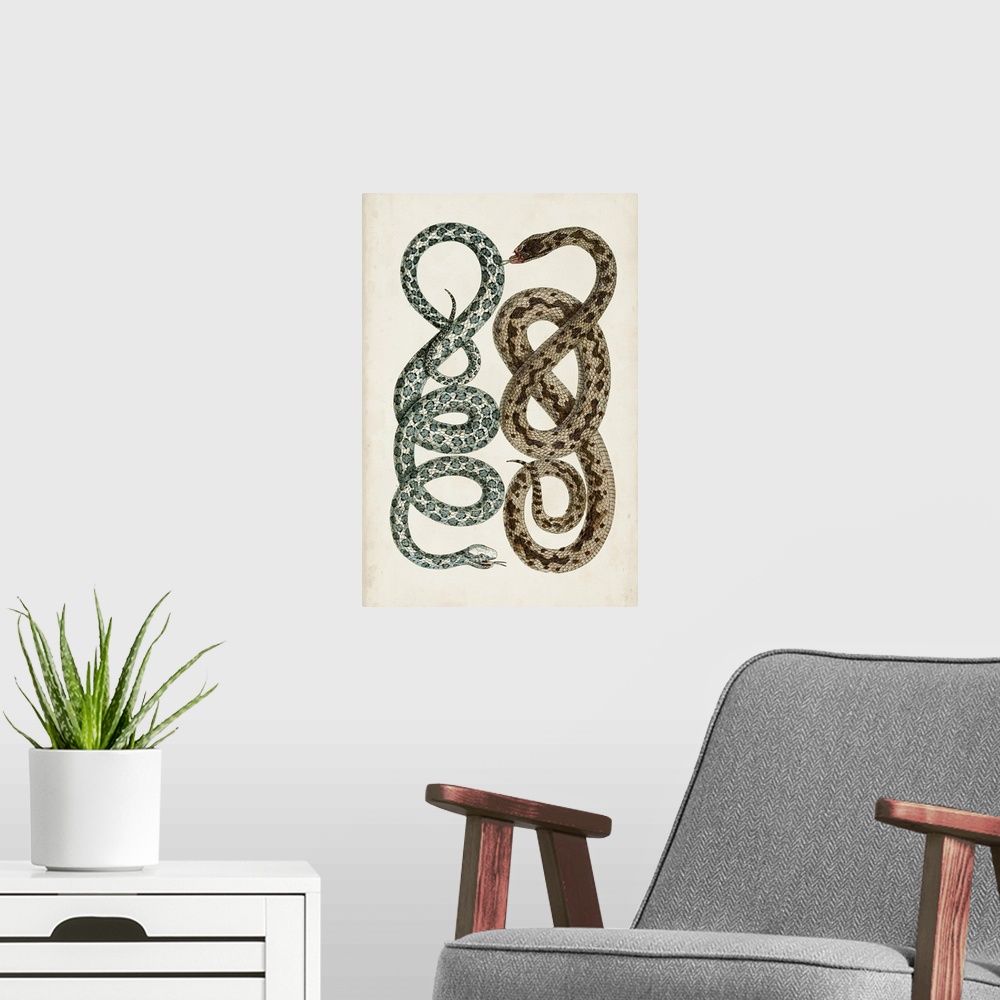 A modern room featuring Antique Snakes IV