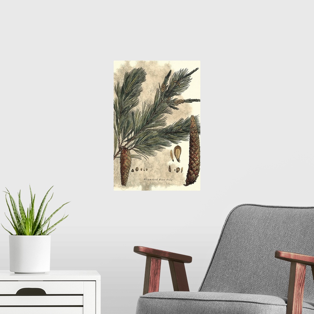 A modern room featuring Vintage stylized illustration of a tree branch with pine cones hanging from it.