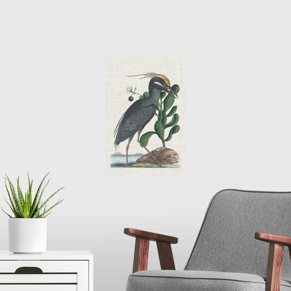 A modern room featuring Catesby Heron I