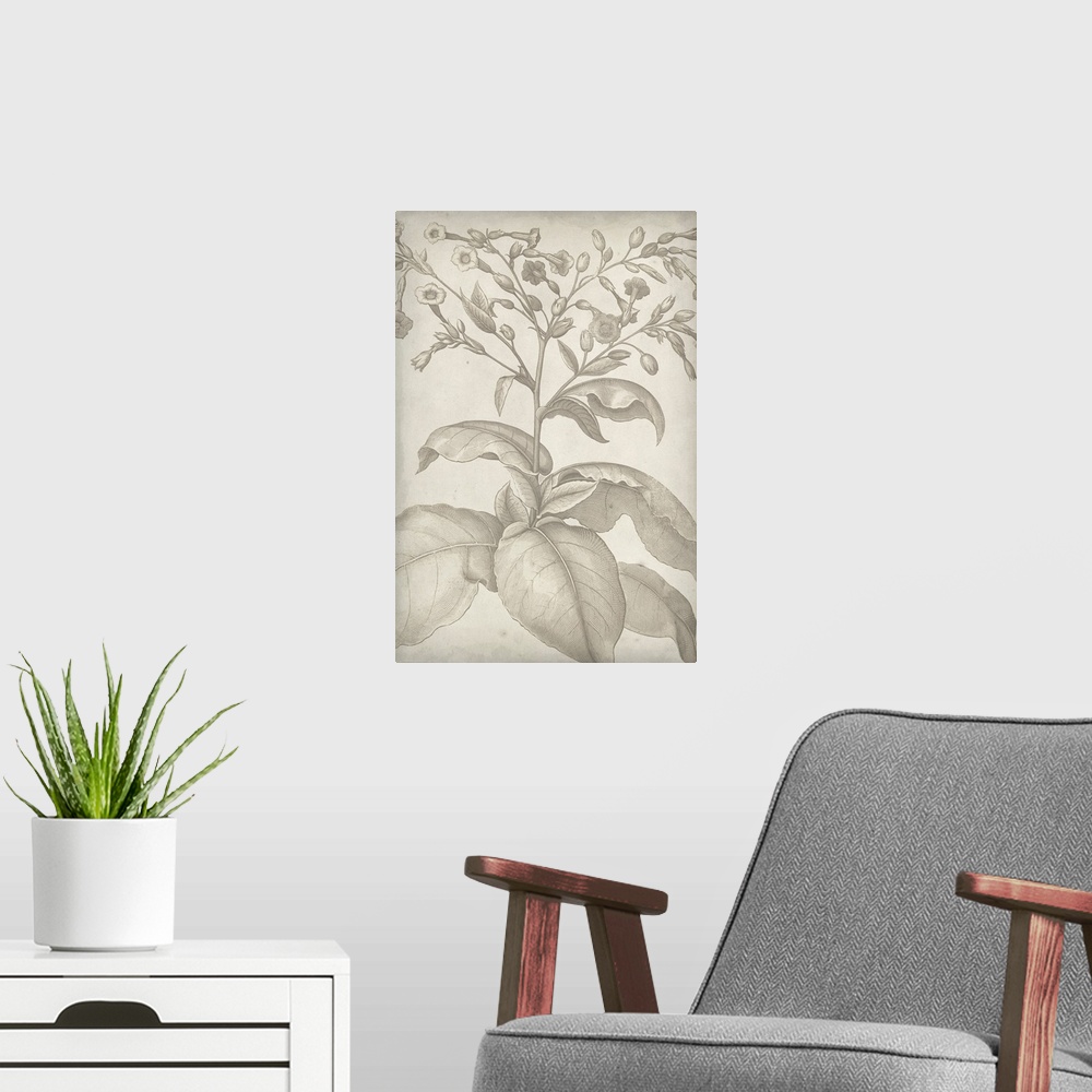 A modern room featuring Vintage-inspired botanical illustration.