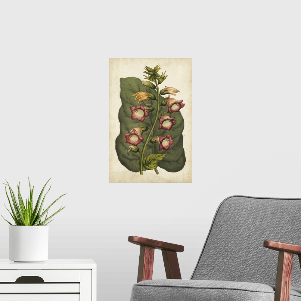 A modern room featuring Contemporary artwork of a floral illustration in a vintage style.