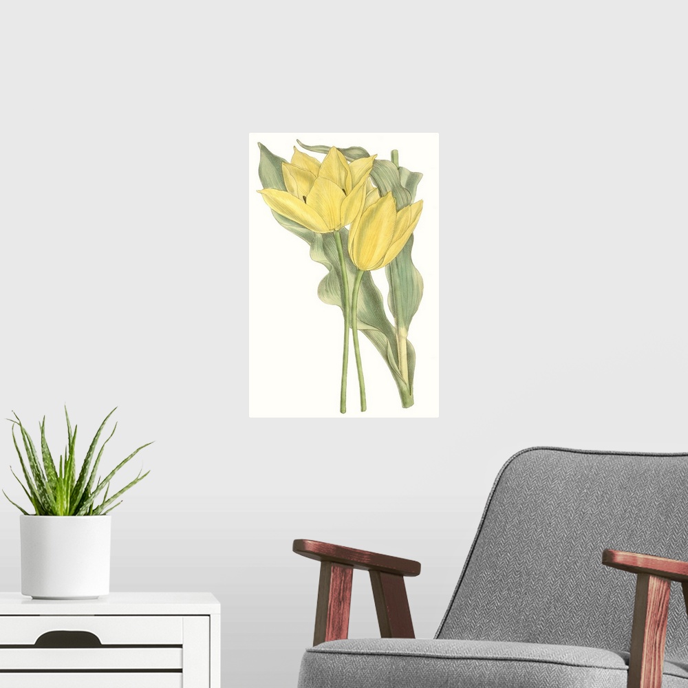 A modern room featuring Curtis Tulips II