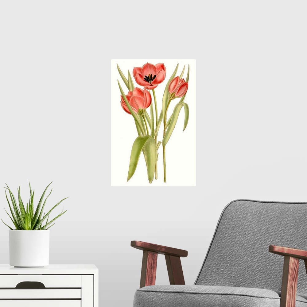 A modern room featuring Curtis Tulips VII