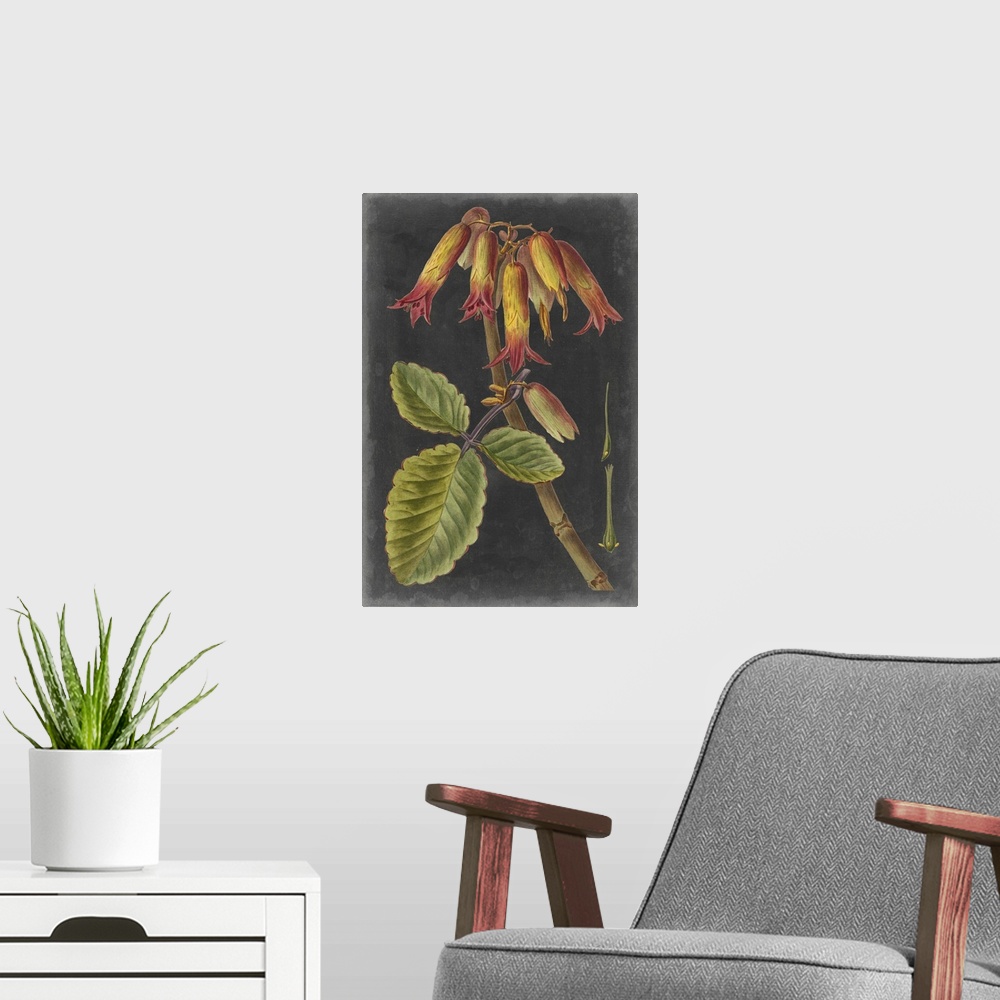 A modern room featuring Dramatic Tropicals III