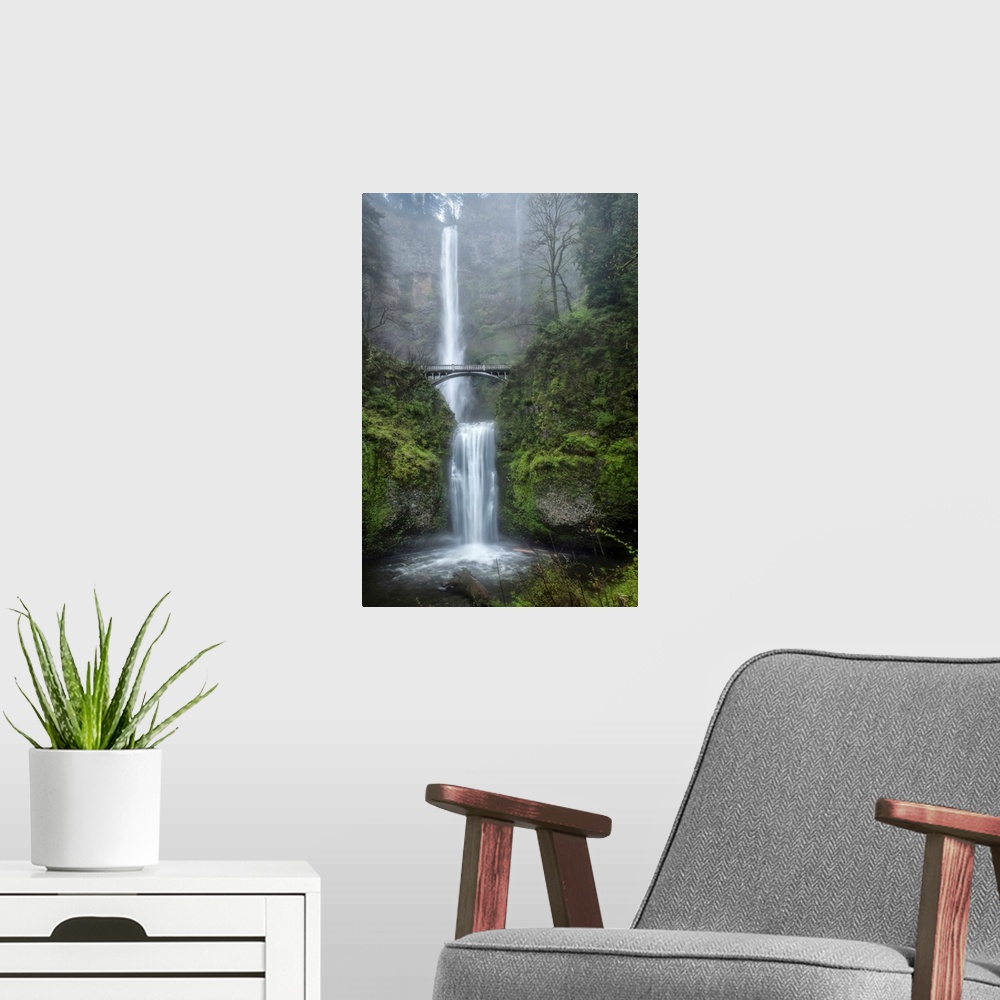 A modern room featuring Photograph of a serene waterfall among vibrant greenery vegetation in the mist.