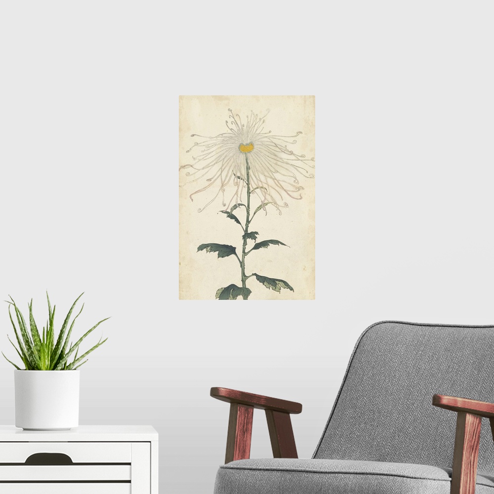 A modern room featuring Elegant Chrysanthemums V