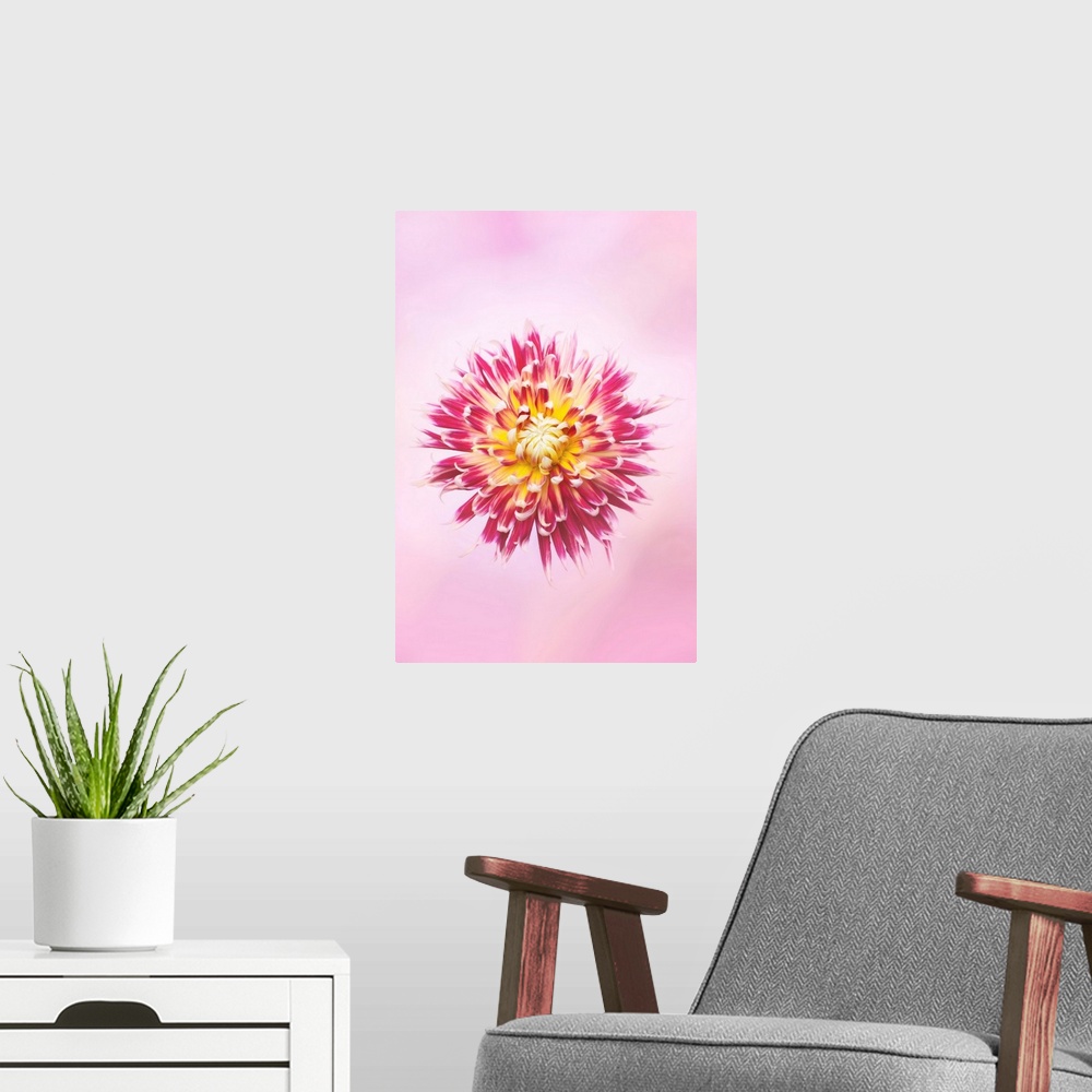 A modern room featuring Exotic Flower Burst I