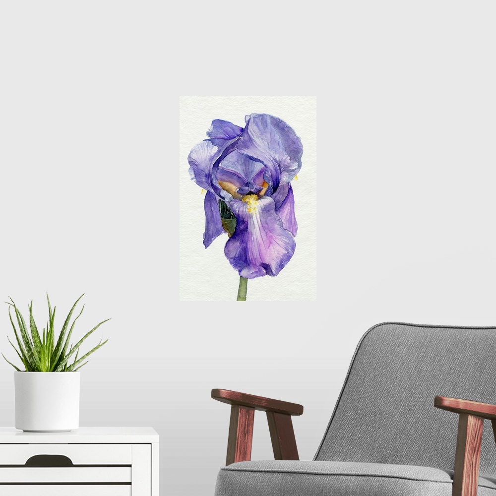 A modern room featuring Iris In Bloom II
