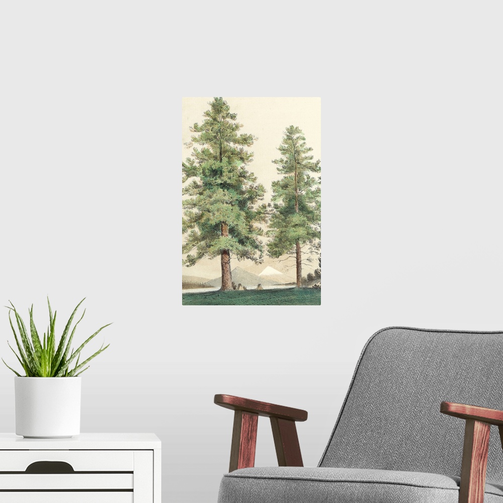 A modern room featuring Majestic Pine II