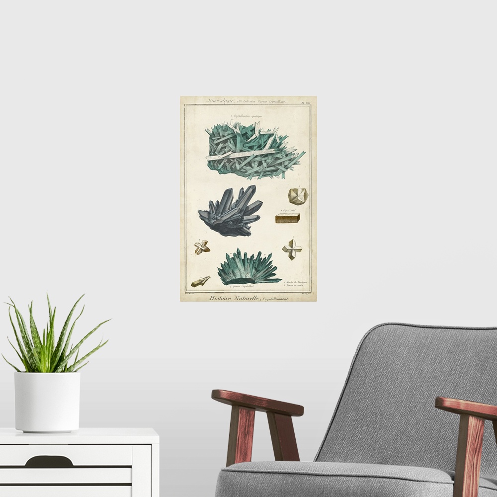 A modern room featuring This decorative artwork features rock and crystalline illustrations over an aged background with ...